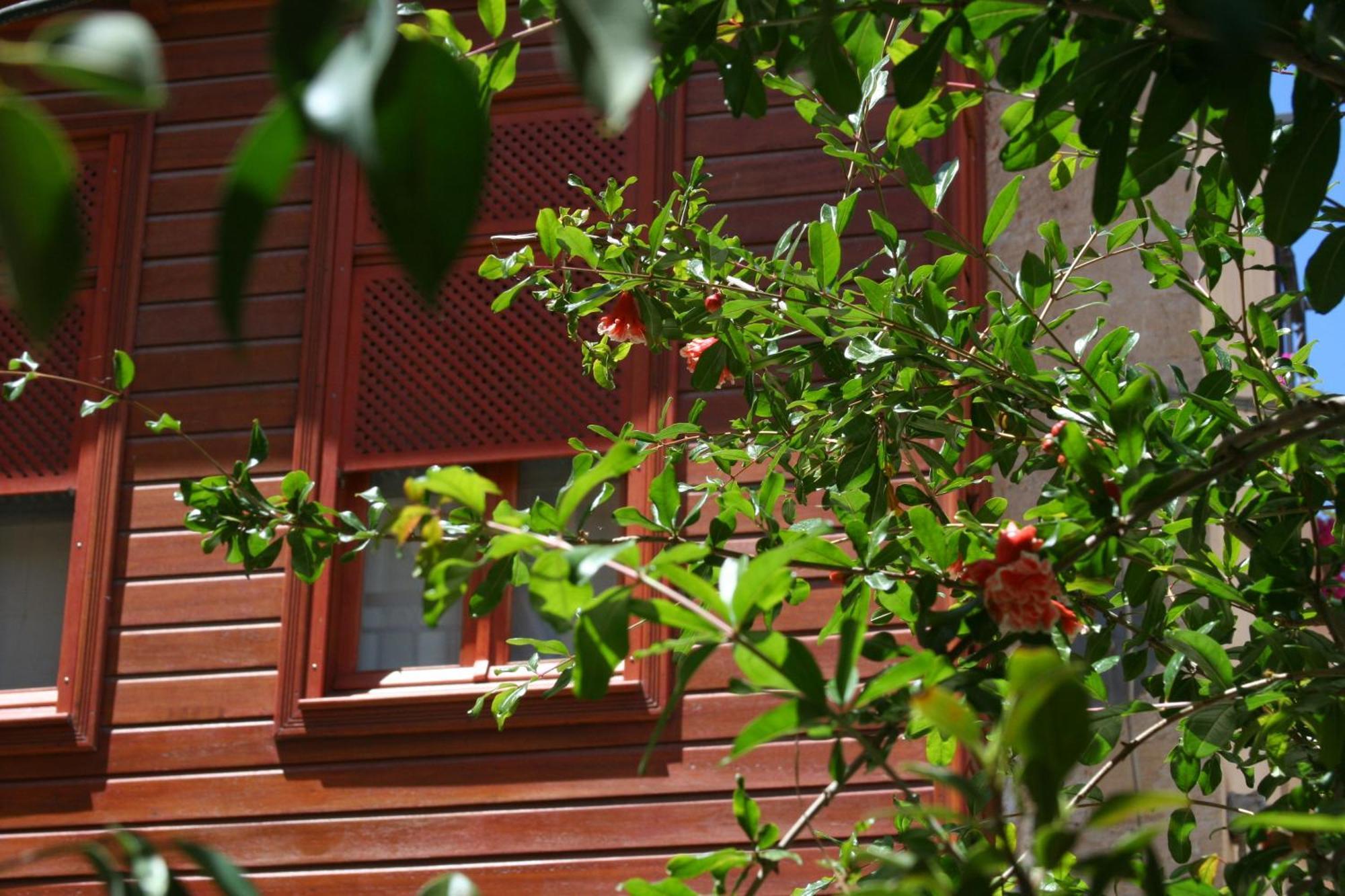 Ionas Boutique Hotel Chania  Exterior photo